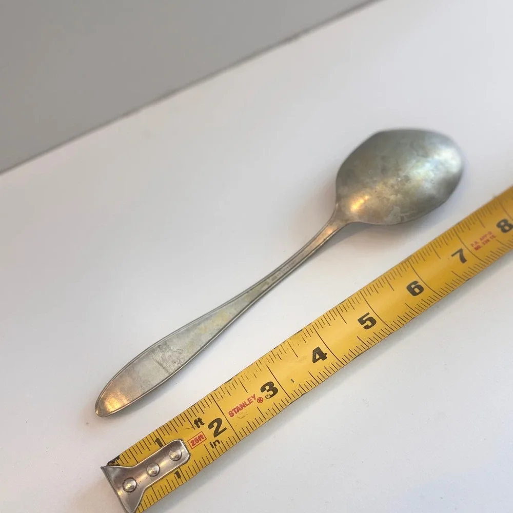 Alaska Silver Plated Spoon Vintage Etched Design Dining Utensil 8